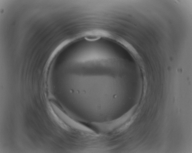 X0000086221248200704051232