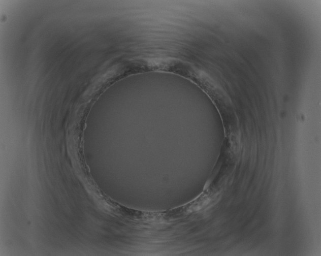 X0000086221249200704051231