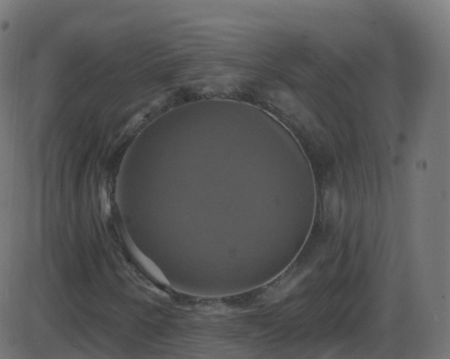 X0000086221250200704051231