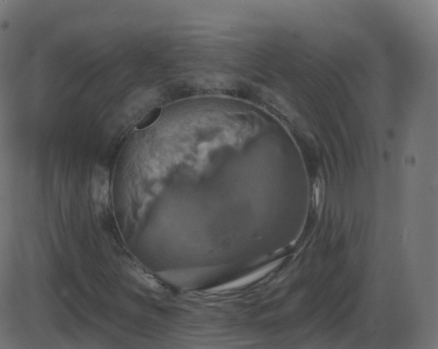 X0000086221251200704051231