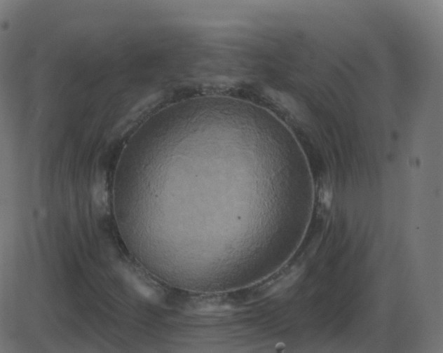 X0000086221252200704051231