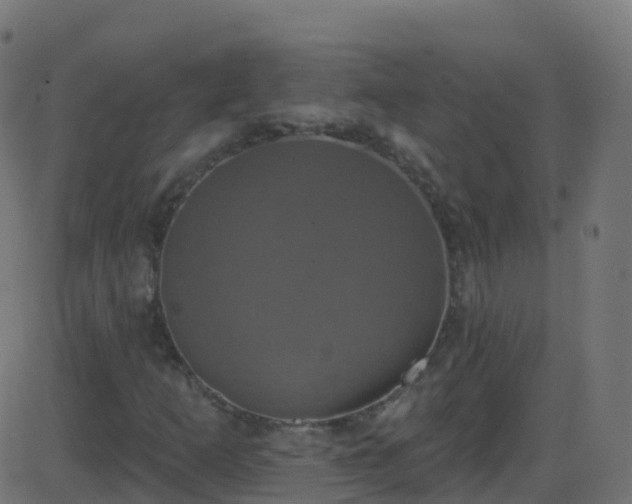 X0000086221253200704051231