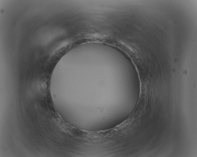 X0000086221254200704051231