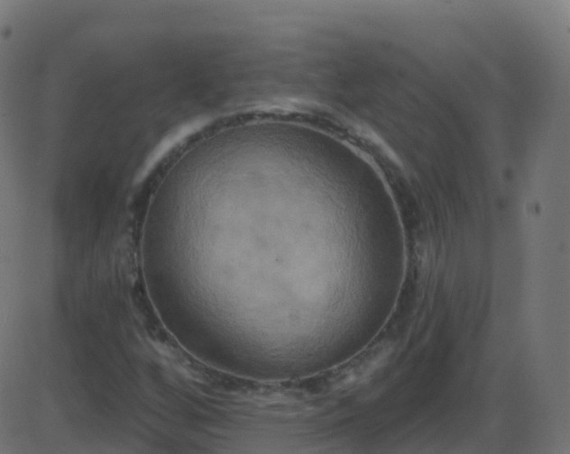 X0000086221256200704051231