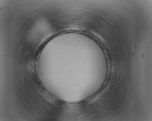 X0000086221258200704051231