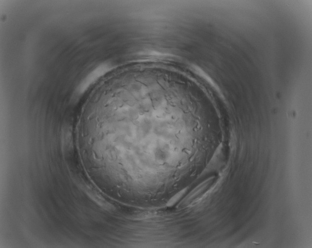 X0000086221259200704051231