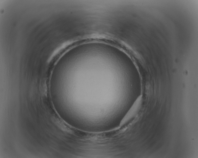 X0000086221262200704051231