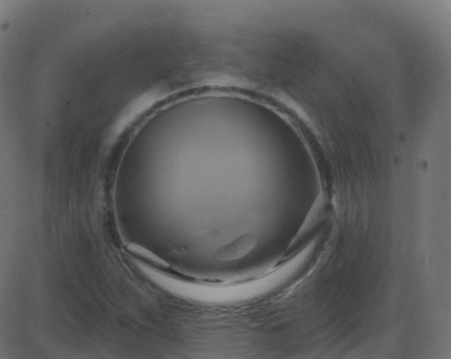 X0000086221263200704051231