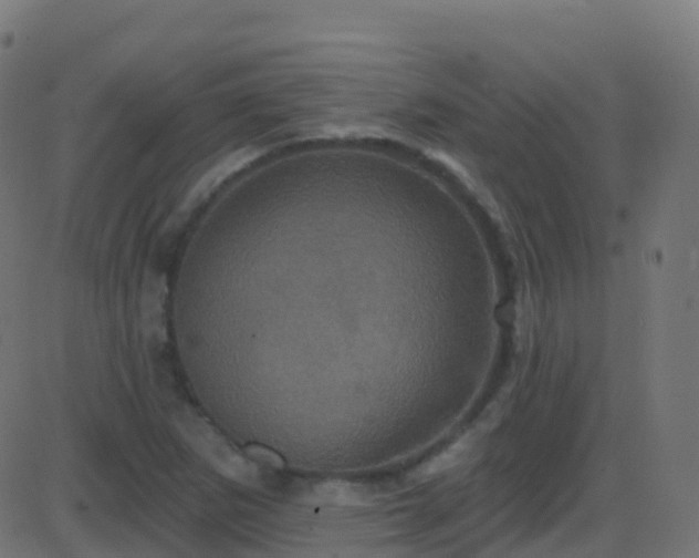 X0000086221265200704051231