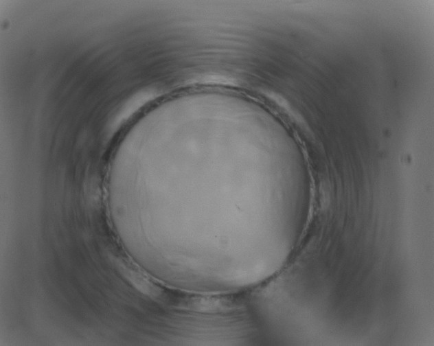 X0000086221266200704051231