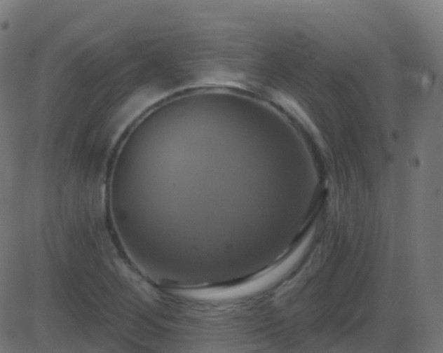 X0000086221268200704051231