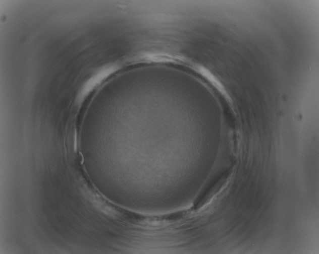 X0000086221269200704051231