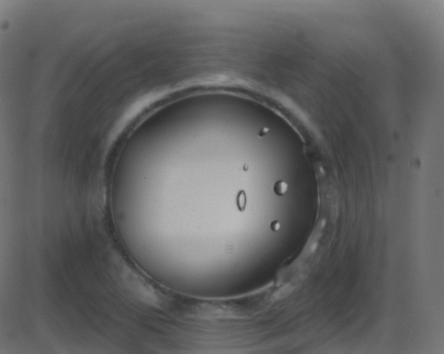 X0000086221270200704051231