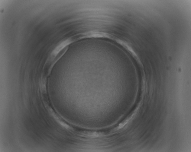 X0000086221273200704051231