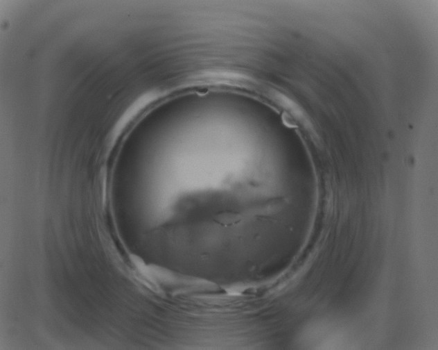 X0000086221275200704051231