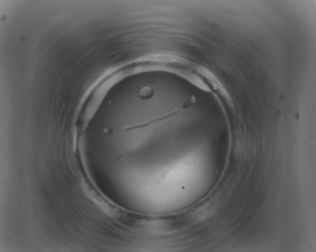 X0000086221276200704051231