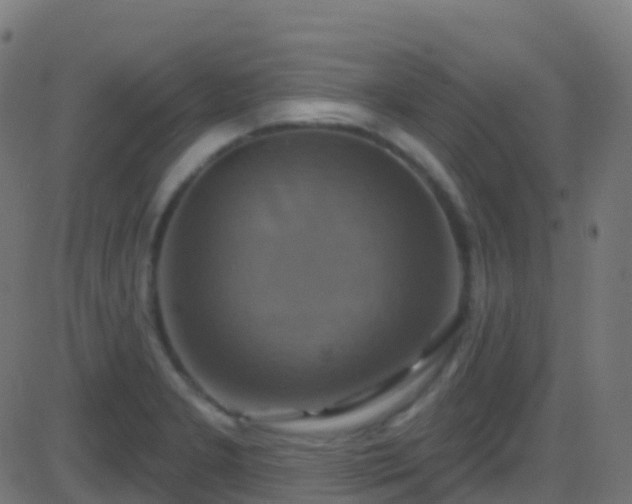 X0000086221277200704051231