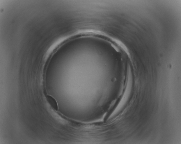 X0000086221279200704051231