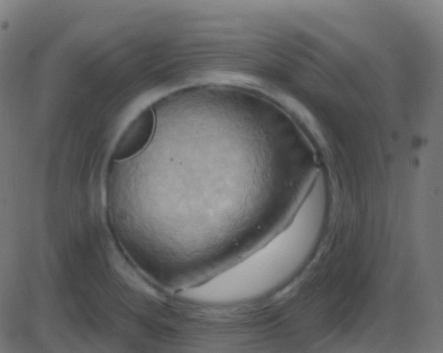 X0000086221280200704051231