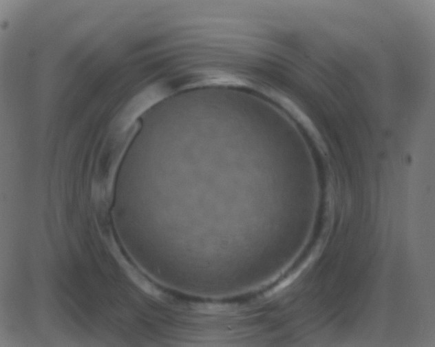 X0000086221281200704051231