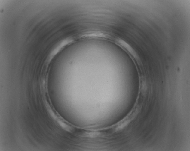 X0000086221282200704051231