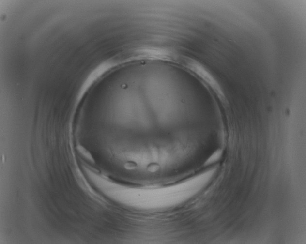 X0000086221283200704051231