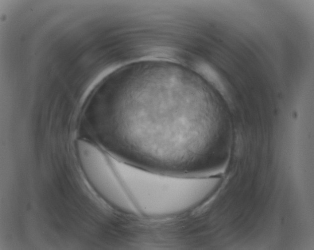 X0000086221284200704051231