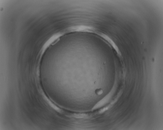 X0000086221285200704051230