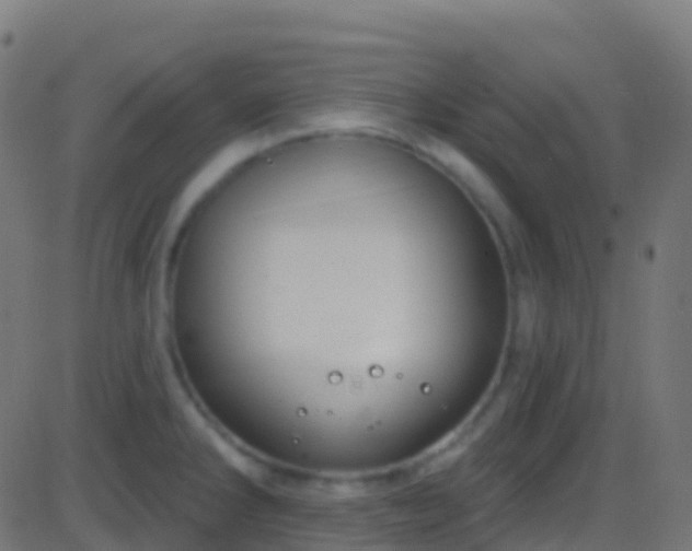 X0000086221286200704051230