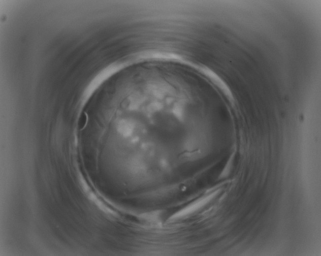 X0000086221287200704051230