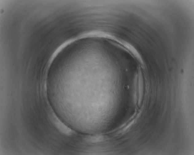 X0000086221288200704051230