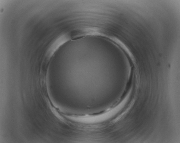 X0000086221289200704051230