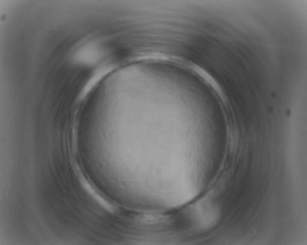 X0000086221290200704051230