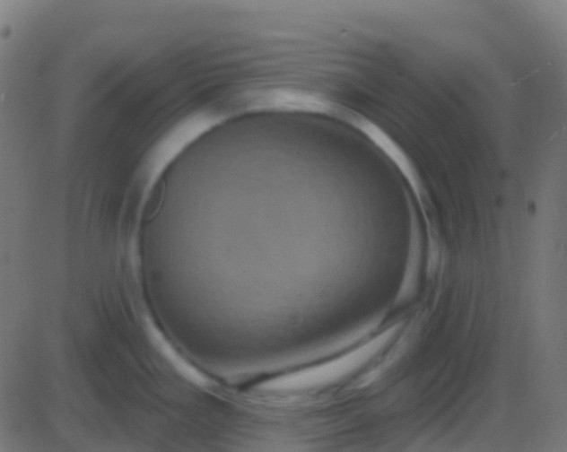 X0000086221293200704051230