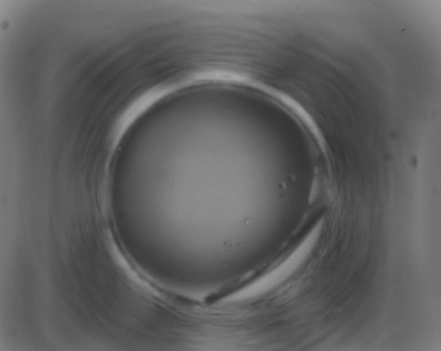 X0000086221295200704051230