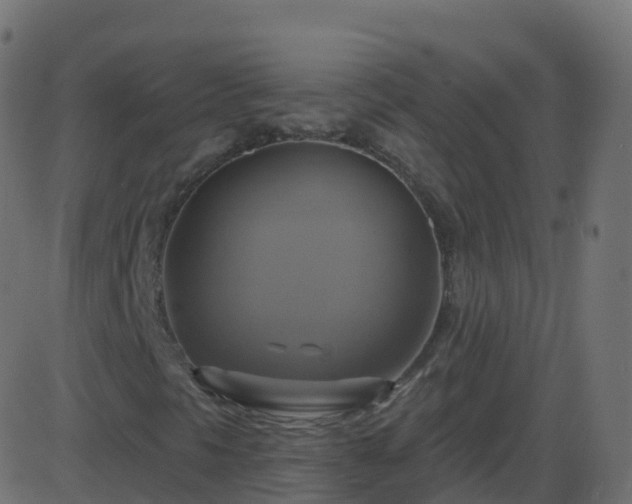 X0000086221297200704051230