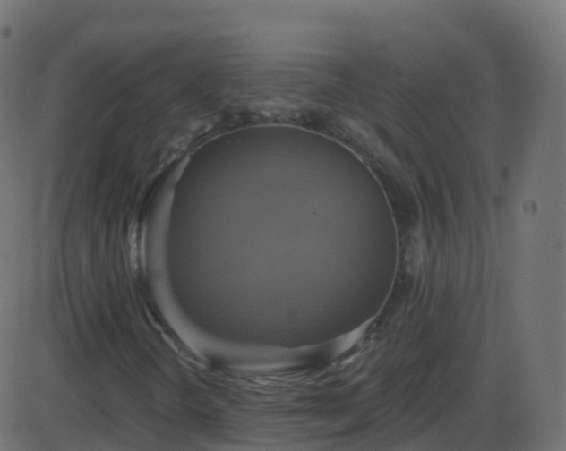 X0000086221298200704051230