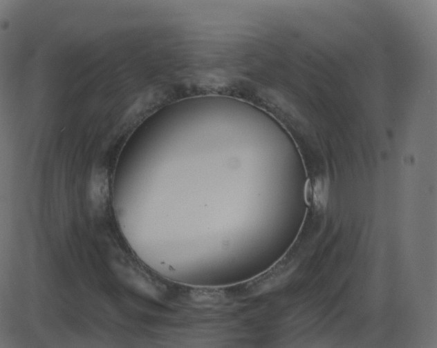 X0000086221299200704051230