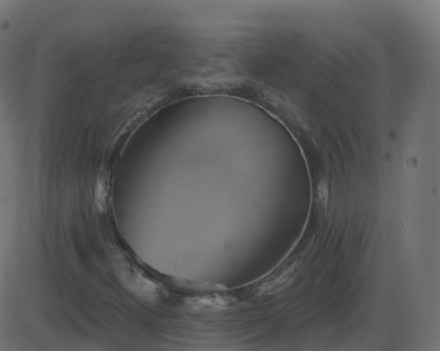 X0000086221300200704051230