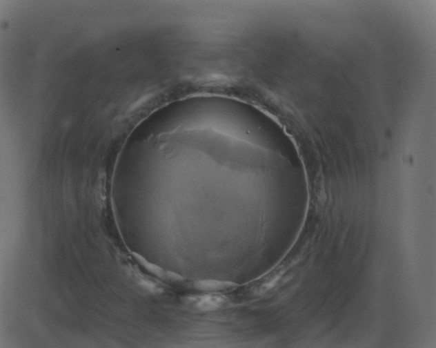 X0000086221301200704051230