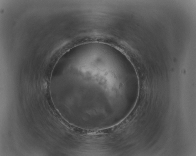 X0000086221302200704051230