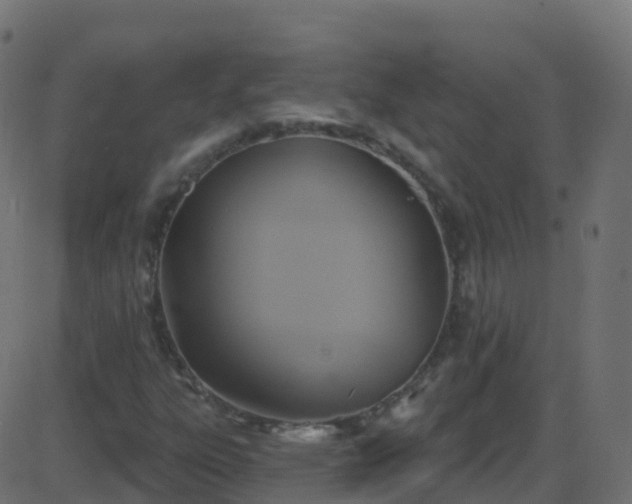 X0000086221303200704051230