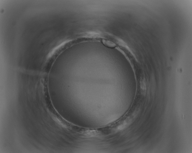 X0000086221304200704051230