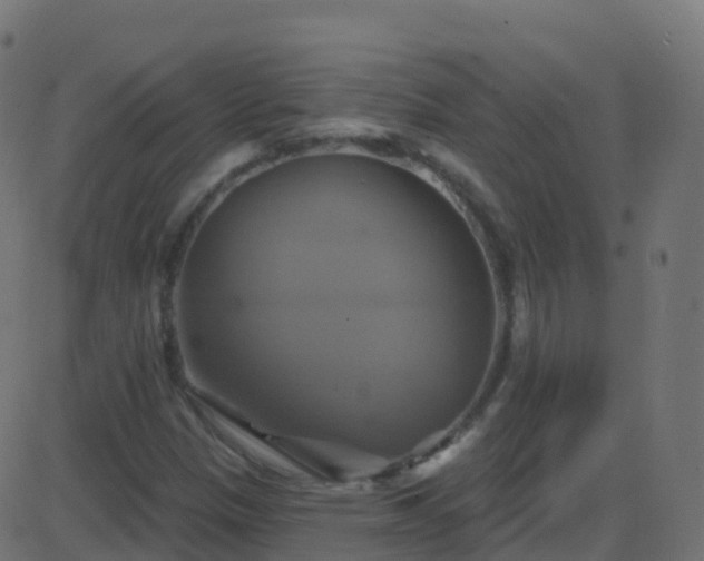 X0000086221305200704051230