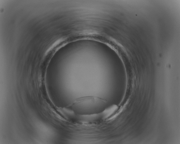 X0000086221306200704051230