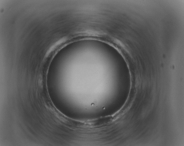 X0000086221307200704051230