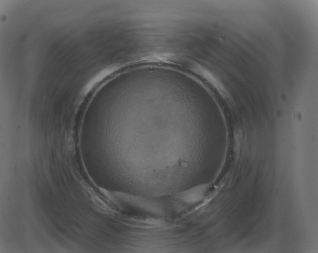 X0000086221308200704051230