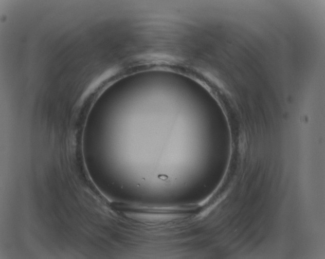 X0000086221309200704051230