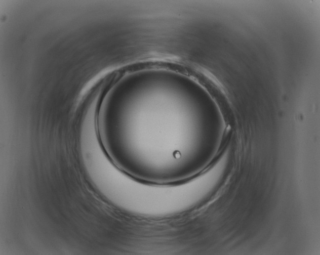 X0000086221310200704051230