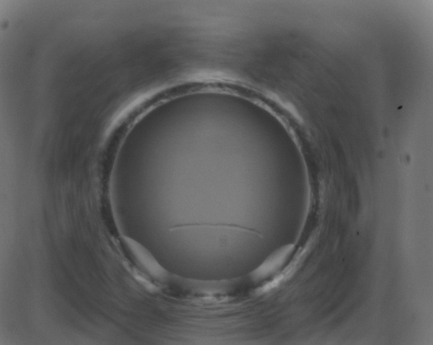 X0000086221311200704051230